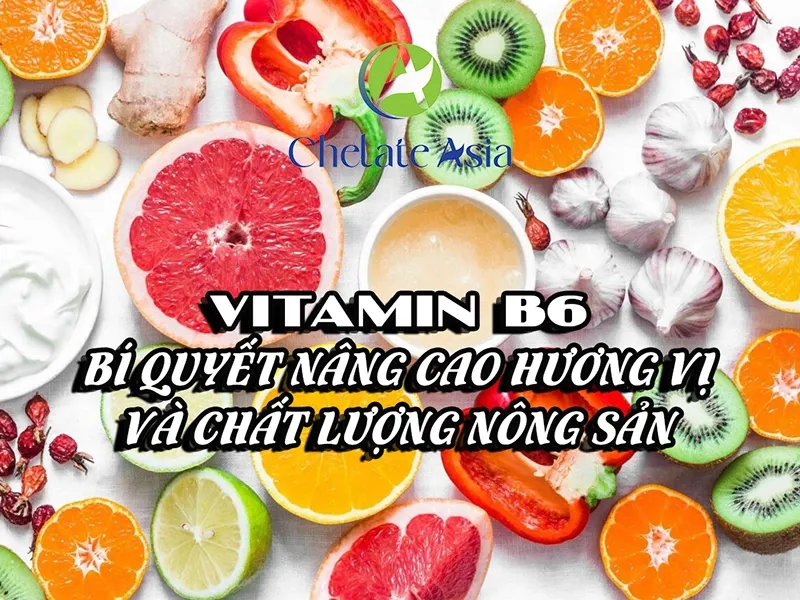 Vitamin B6: Bí quyết nâng cao hương vị và chất lượng nông sản