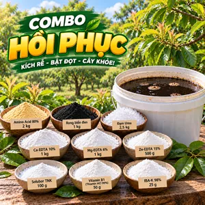 COMBO HỒI PHỤC TOÀN DIỆN – Bộ nguyên liệu hỗ trợ tái tạo rễ, phục hồi tán và sức sinh trưởng