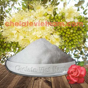 Hóa chất Phosphorous Acid (H3PO3) - Lân 86% - Lân 2 chiều