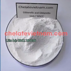 Acid Gibberellic GA4+7 90% - kích thích tăng trưởng cân đối, đồng đều (GA4+GA7)