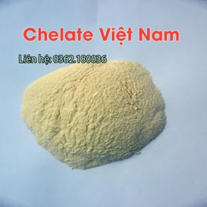 Chitosan Oligosaccharide 90% Vắc xin cây trồng (dạng bột) tan trong nước