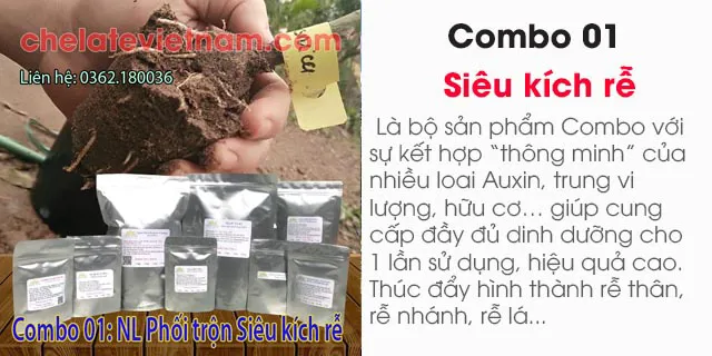 Bán Combo 01: Siêu kích rễ T-ROOT (bộ nguyên liệu đầy đủ tặng kèm công thức pha chế)