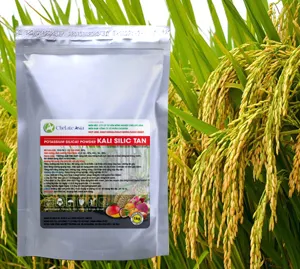 Silic tan: K2SIO3 - Potassium Silicat Powder - Silicat Kali (Ấn Độ)
