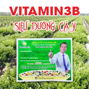Chelate Vitamin 3B (B1, B6, B12) - Siêu giải độc, siêu kích chồi, dưỡng cây (EXTRAL POWDER)