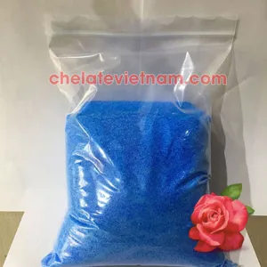 Đồng Sunfat (CuSO4.5H2O) tan hoàn toàn trong nước