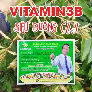 Chelate Vitamin 3B (B1, B6, B12) - Siêu giải độc, siêu kích chồi, dưỡng cây (EXTRAL POWDER)