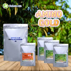 COMBO AMINO GOLD: Tăng xanh, dưỡng lá, hồi cây nhanh
