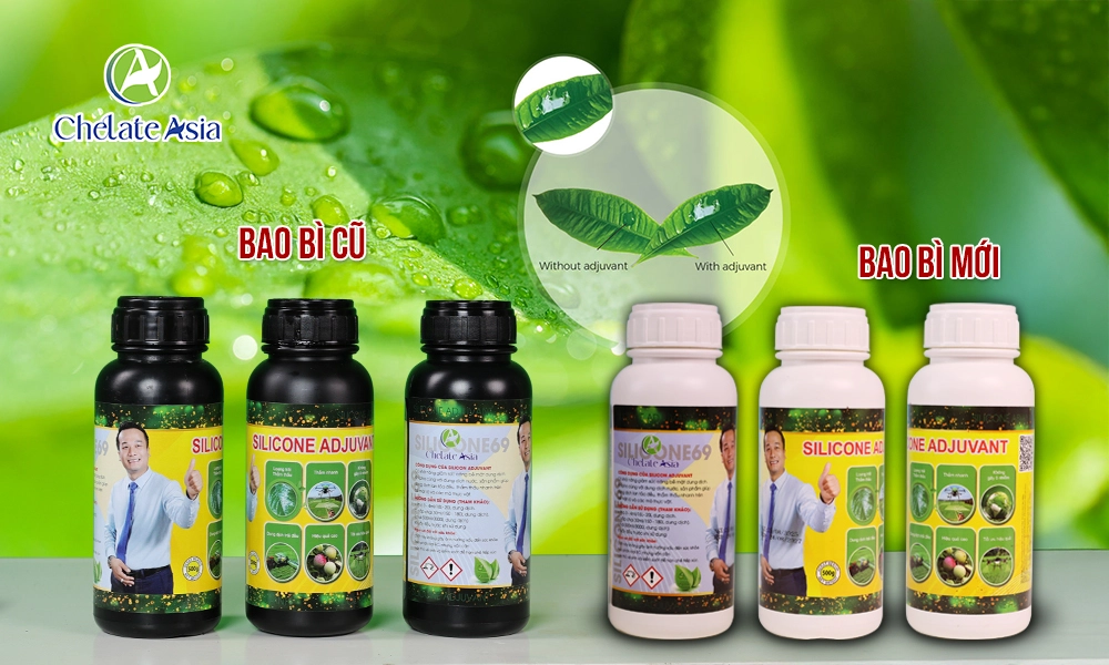 Thay đổi bao bì cũ mới