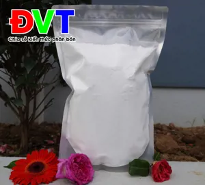 Solubor - DOT (Siêu Bo) Thổ Nhĩ Kỳ - Tan trong nước