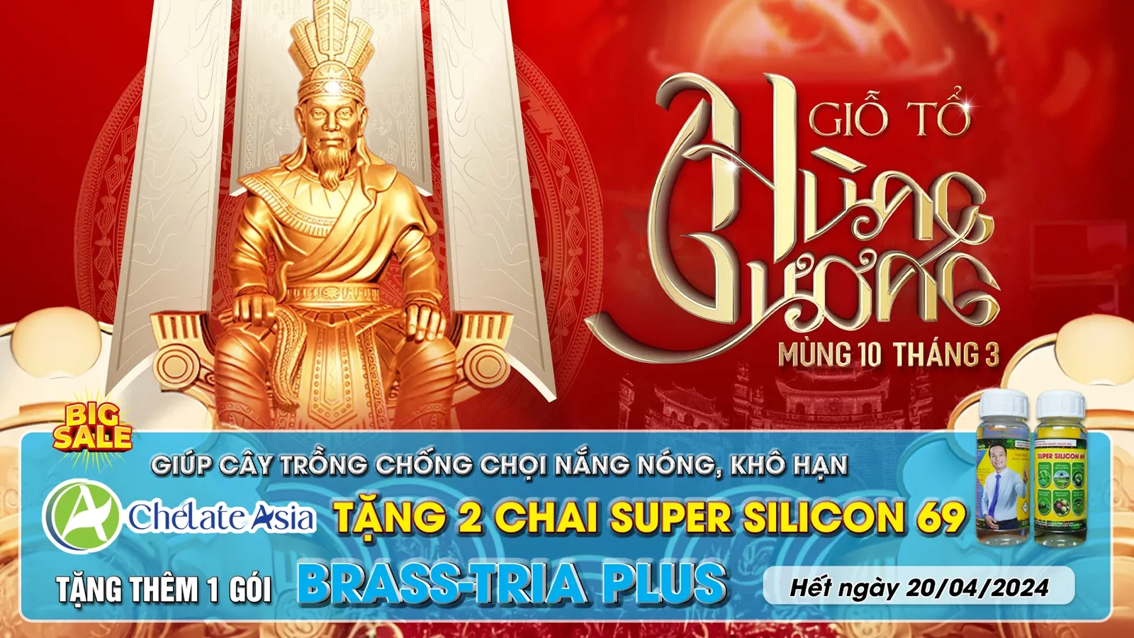 Khám phá chương trình khuyến mại đặc biệt từ Chelate Asia nhân dịp kỉ niệm Giỗ tổ Hùng Vương, giúp bảo vệ cây trồng của bạn trong mùa nắng nóng khắc nghiệt.