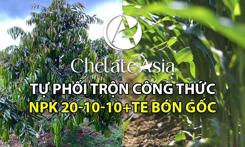 NPK 20-10-10+TE bón gốc, công thức phối trộn thủ công đơn giản