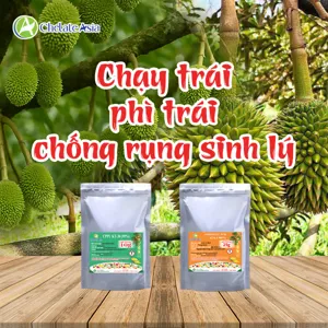 COMBO CHẠY TRÁI: Kích trái lớn nhanh, giữ cuống chắc, chống rụng trái non