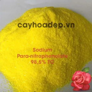 Sodium Para-nitrophenolate 99% TC (kích thích hấp thụ phân bón) tan trong nước