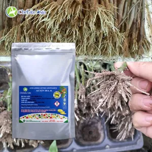 Auxin IBA-K 98% (Auxin 4-Indole 3-Butyric Acid Potassium) Kích thích ra rễ tan trong nước