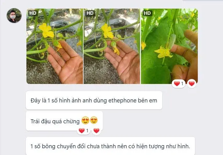 Ý kiến khách hàng Nguyễn Trường