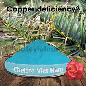 Vi lượng Đồng Chelate (Cu-EDTA-15) tan hoàn toàn trong nước