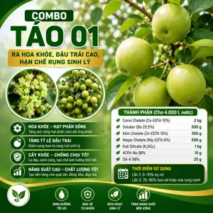 COMBO TÁO 01: Ra hoa khỏe, đậu trái cao, hạn chế rụng sinh lý