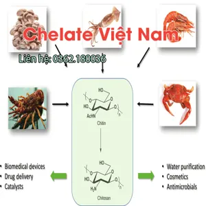 Chitosan Oligosaccharide 90% Vắc xin cây trồng (dạng bột) tan trong nước