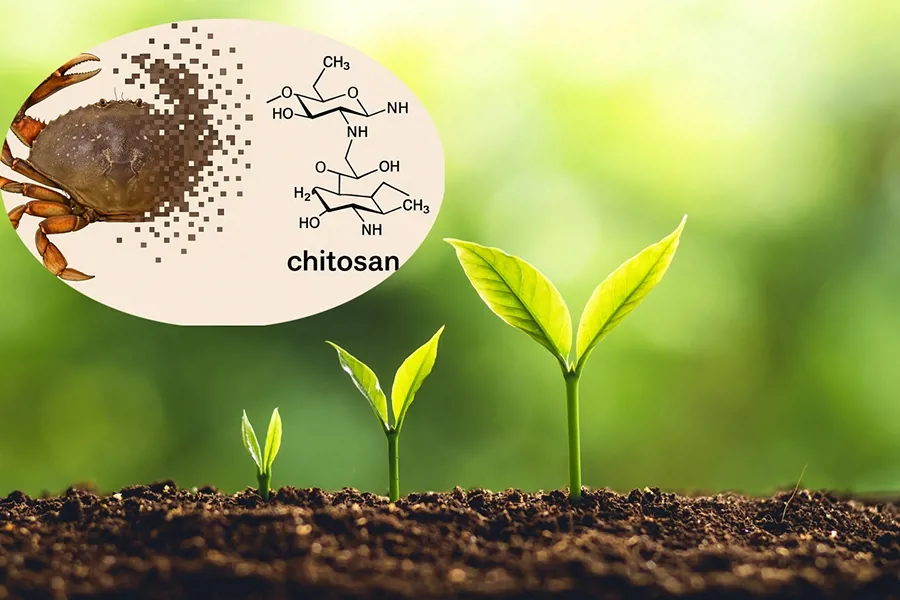 Chitosan với nông nghiệp