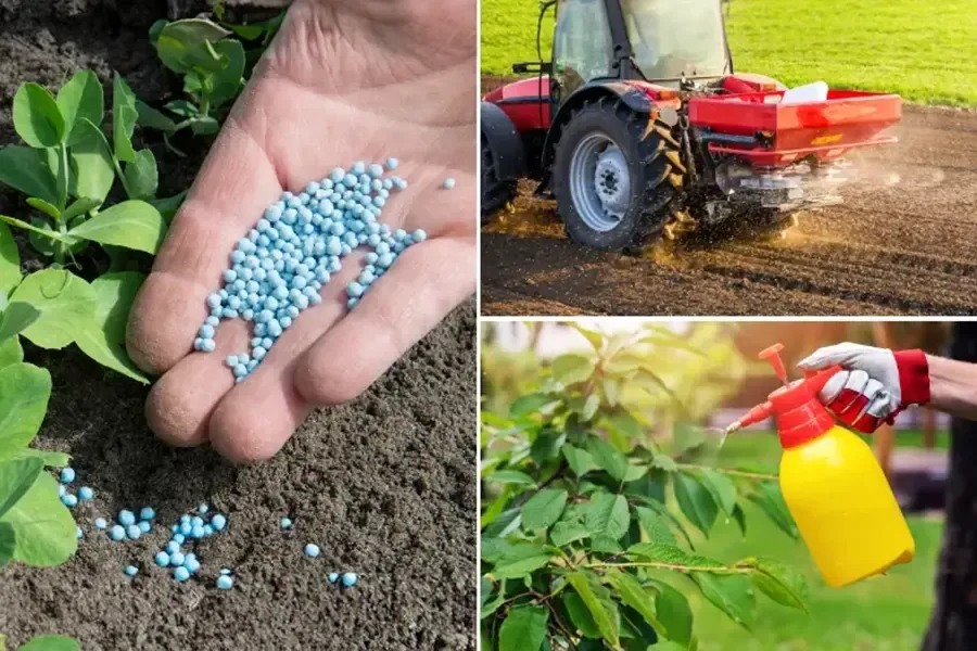 Cải tạo đất và phun phân bón lá đúng cách