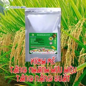 Brassinolide 0.15% SP (Giải độc cây trồng) Hormone thực vật tan trong nước