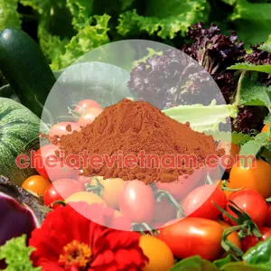 Axit Fulvic 90-95% (Fulvic Acid) tan trong nước