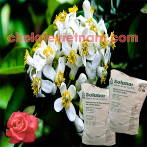 Solubor - DOT (Siêu Bo) - Mỹ tan trong nước