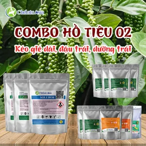 COMBO HỒ TIÊU 02 - Kéo gié dài, đậu trái, dưỡng trái