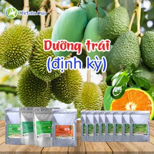 COMBO DƯỠNG TRÁI ĐỊNH KỲ - Nuôi trái to đều, chắc trái, tăng giá trị