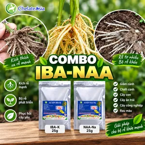 COMBO IBA-NAA – Bộ nguyên liệu Auxin hỗ trợ tạo rễ