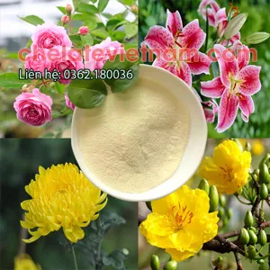 Amino Acid (Axit Amin) 80% dạng bột tan 100%