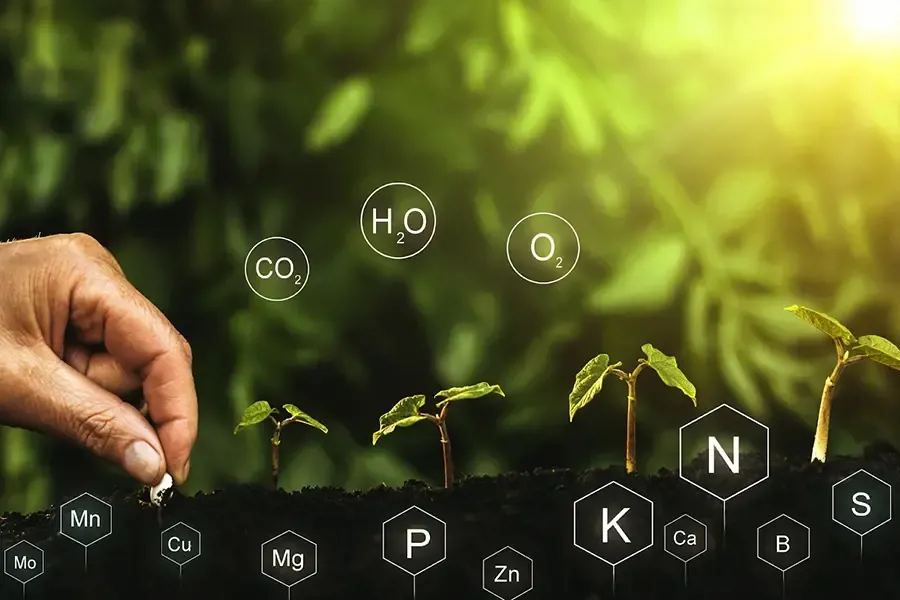 vi lượng chelate thay thế vô cơ