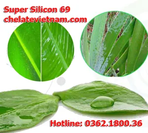 SUPER SILICON 69 - Chất hữu cơ hoạt động bề mặt dạng nonionic