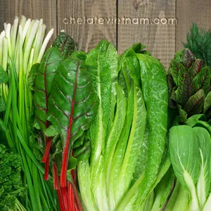 Cytokinin Zeatin 0.1%SP (Siêu kích chồi, chiết xuất từ lõi ngô)