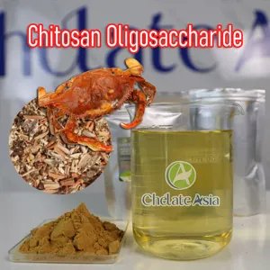 Chitosan Oligosaccharide 90% Vắc xin cây trồng (dạng bột) tan trong nước