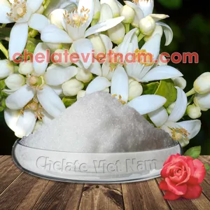 Hóa chất Phosphorous Acid (H3PO3) - Lân 86% - Lân 2 chiều