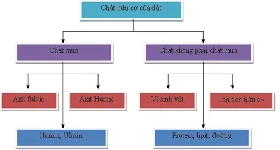 Quá trình phân giải chất hữu cơ và hình thành chất mùn đất