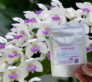 T-BUD BASIC cytokinin synthetic (Hóa chất cơ bản kích chồi cây)