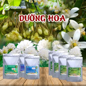 (04A) COMBO DƯỠNG HOA: Tăng sức sống cho hoa, thúc đẩy thụ phấn, đậu trái vượt trội
