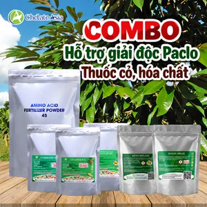 COMBO GIẢI ĐỘC - Hỗ trợ phục hồi sau Paclobutrazol, stress hóa chất, hồi xanh, tái tạo sinh trưởng
