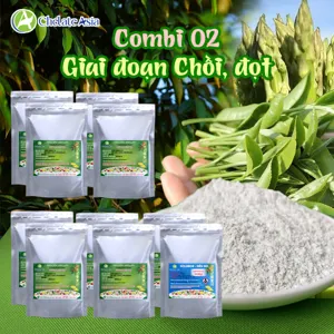 COMBO COMBI 02: Bộ vi lượng giai đoạn phát triển chồi, đọt