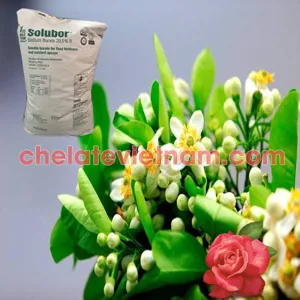 Solubor - DOT (Siêu Bo) - Mỹ tan trong nước