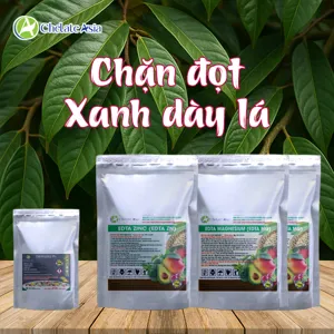(Uni) COMBO CHẶN ĐỌT, XANH DÀY LÁ: Lá dày, cây khỏe