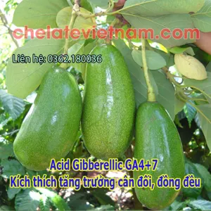 Acid Gibberellic GA4+7 90% - kích thích tăng trưởng cân đối, đồng đều (GA4+GA7)
