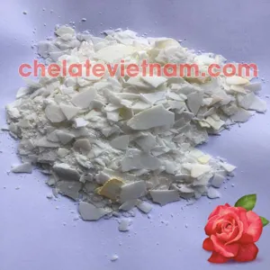 Potassium Hydroxide Solid - KOH (KOH ≥ 90%)