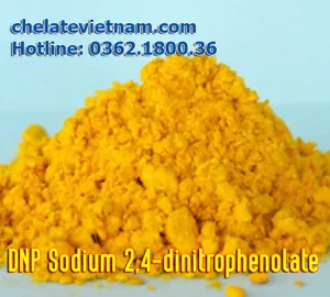 DNP Sodium 2,4-dinitrophenolate (Natri 2,4-dinitrophenate) Hóa chất gốc, nguyên liệu sản xuất phân bón