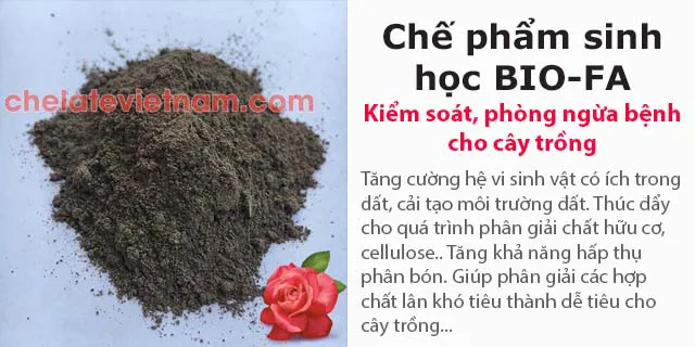 Bán Chế phẩm sinh học BIO-FA - Ngăn ngừa bệnh cho cây trồng