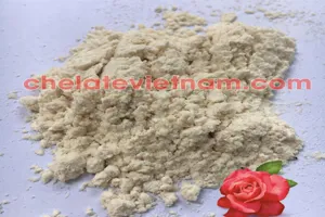 Auxin IAA 99% (3-Indole acetic acid) Chất kích thích ra rễ