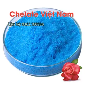 Đồng Sunfat (CuSO4.5H2O) tan hoàn toàn trong nước