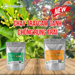 COMBO CHẠY TRÁI CAM CANH (Kích nhanh lớn trái, chống rụng trái non)